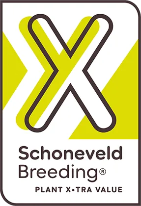 Schoneveld Breeding logo